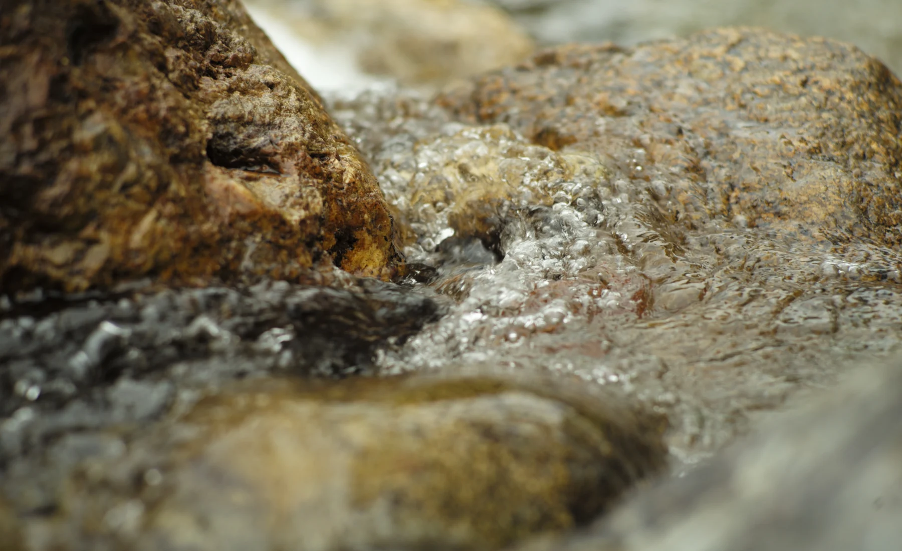 La source révèle — Fontaine de la Reine